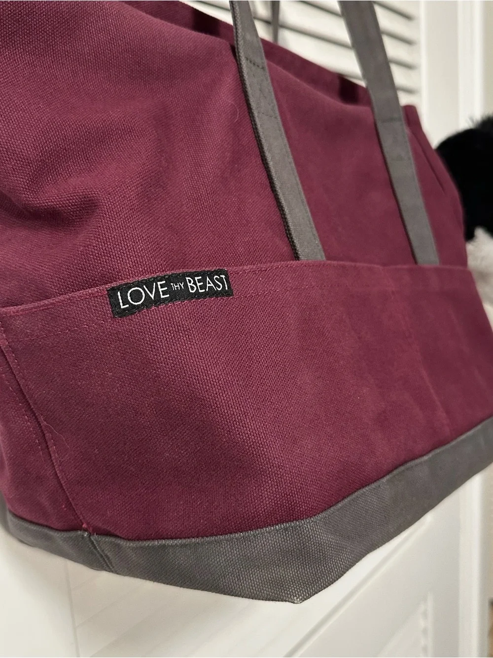 Love Thy Beast Canvas Dog Tote- Medium dog (15lbs)
